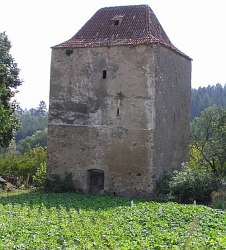 Věž někdejší gotické tvrze (2004)
